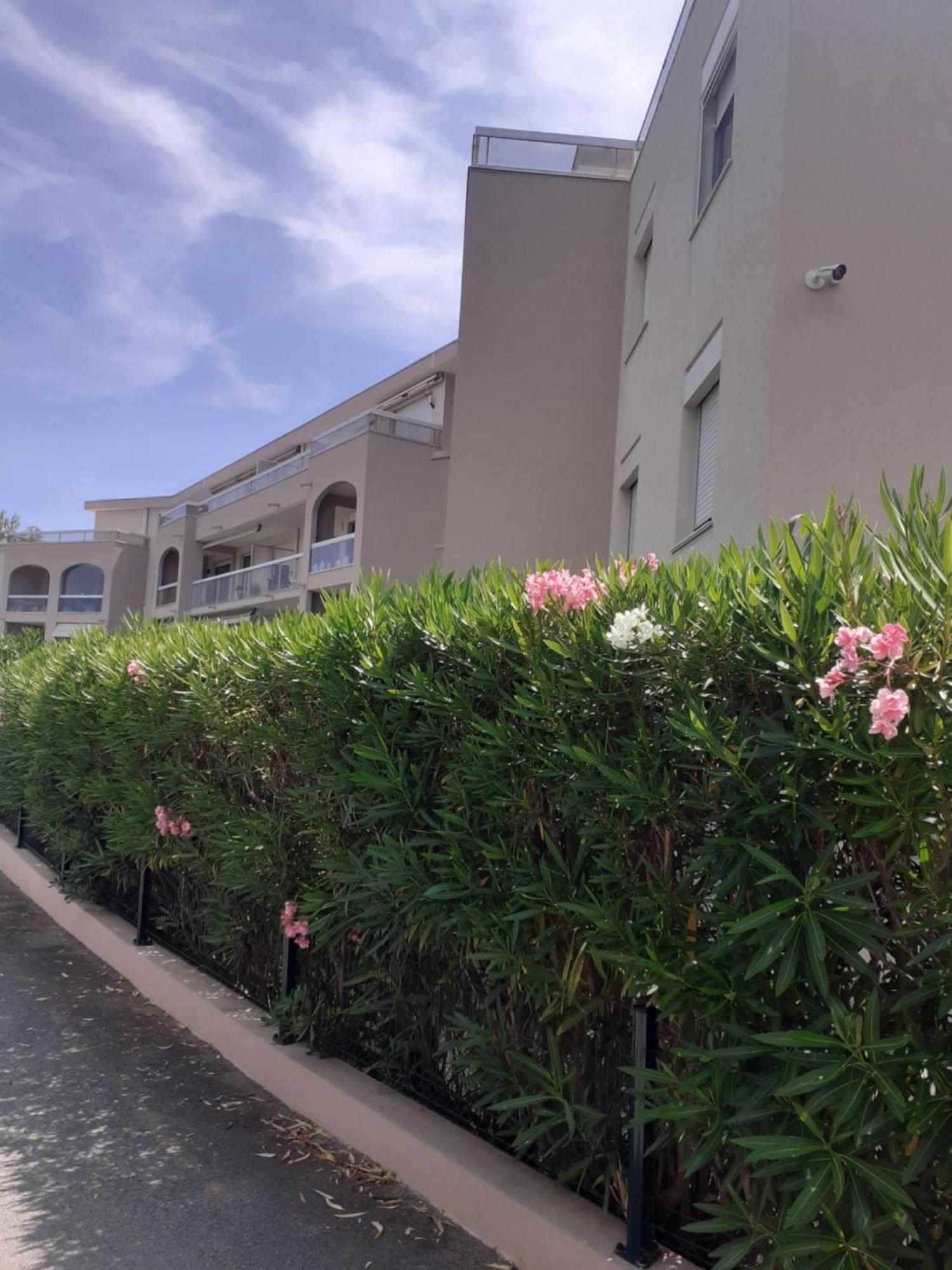 T2 Bord de mer Saint Aygulf Exterior foto